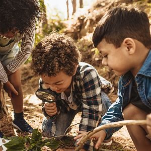 Capturing Young Children's Comprehension and Emotional Reponses to Climate Change